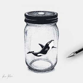 06-Orca-in-a-Jar-Surreal-Animals-Mostly-Ink-Drawings-www-designstack-co
