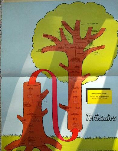 Porno College lesbot