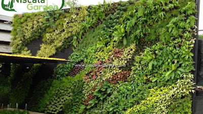 Jasa Pembuatan Taman Vertical Garden