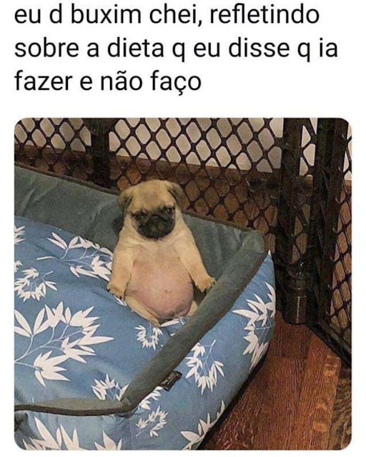 Memes engraçados Memes engraçados