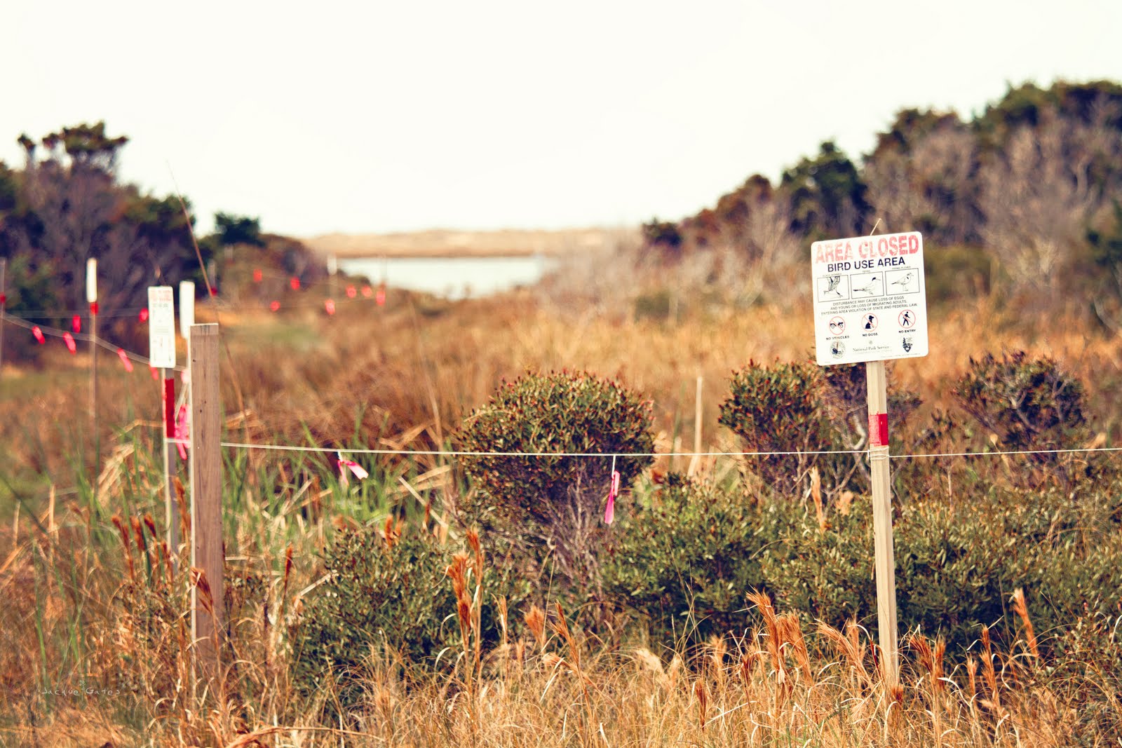 below the mean low tide line “What is Below the Mean Low Tide Line?”