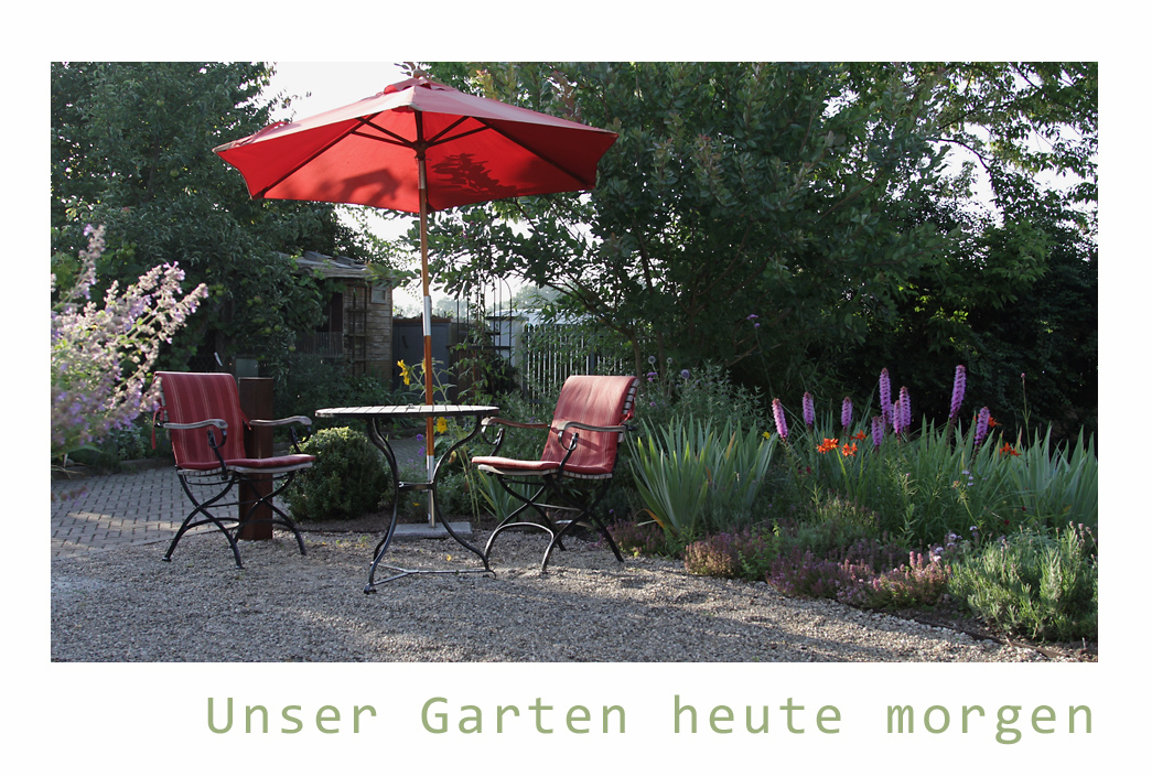 Gartenblog GeniesserGarten Gartenrundgang im August