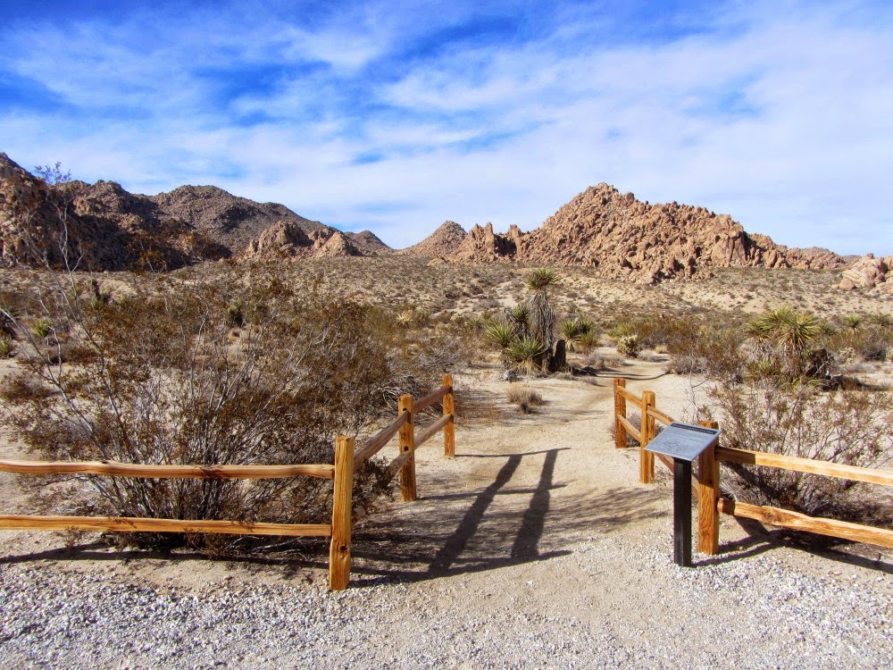 Dan's Hiking Blog: Joshua Tree - Indian Cove to Mount Mel - January 4, 2015