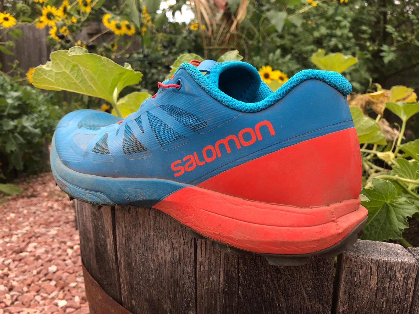 Road Run: Salomon Sense Pro 3