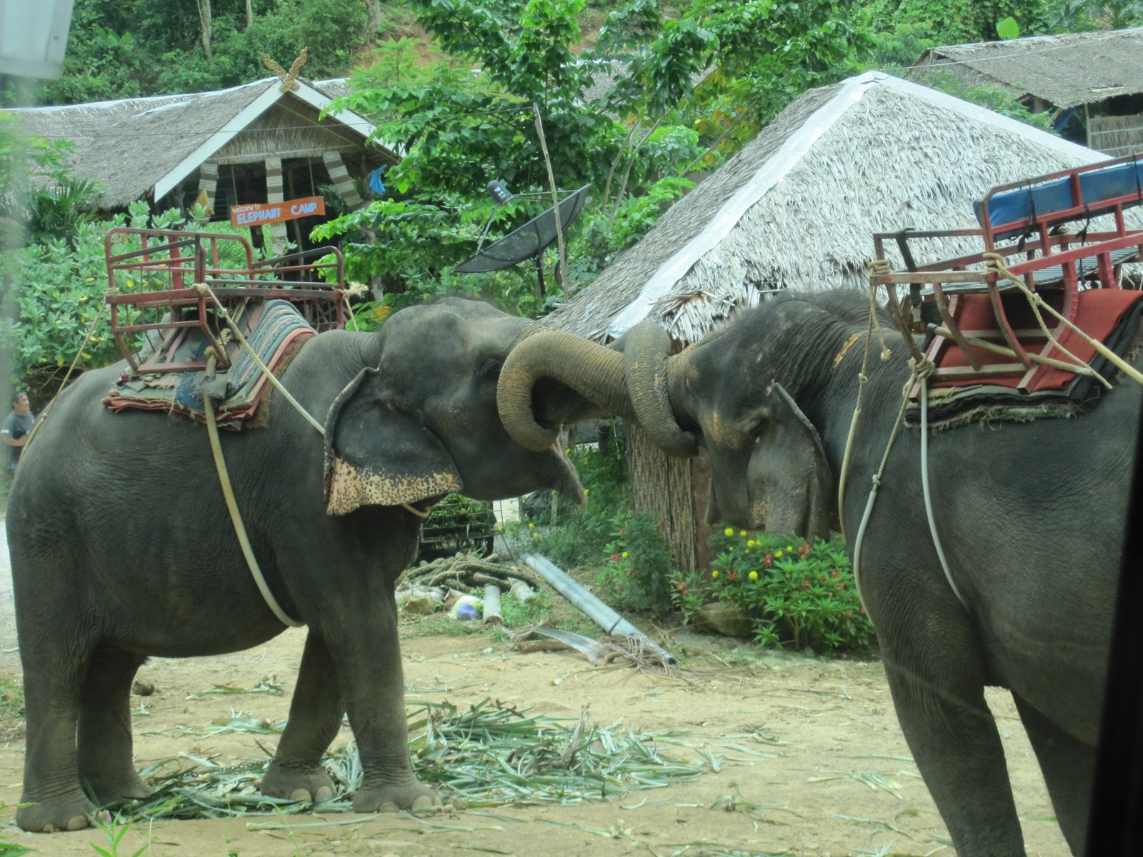 .Portraying TaylorAshley. Thailand. " sometimes its entirely