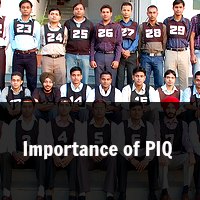 Importance of PIQ
