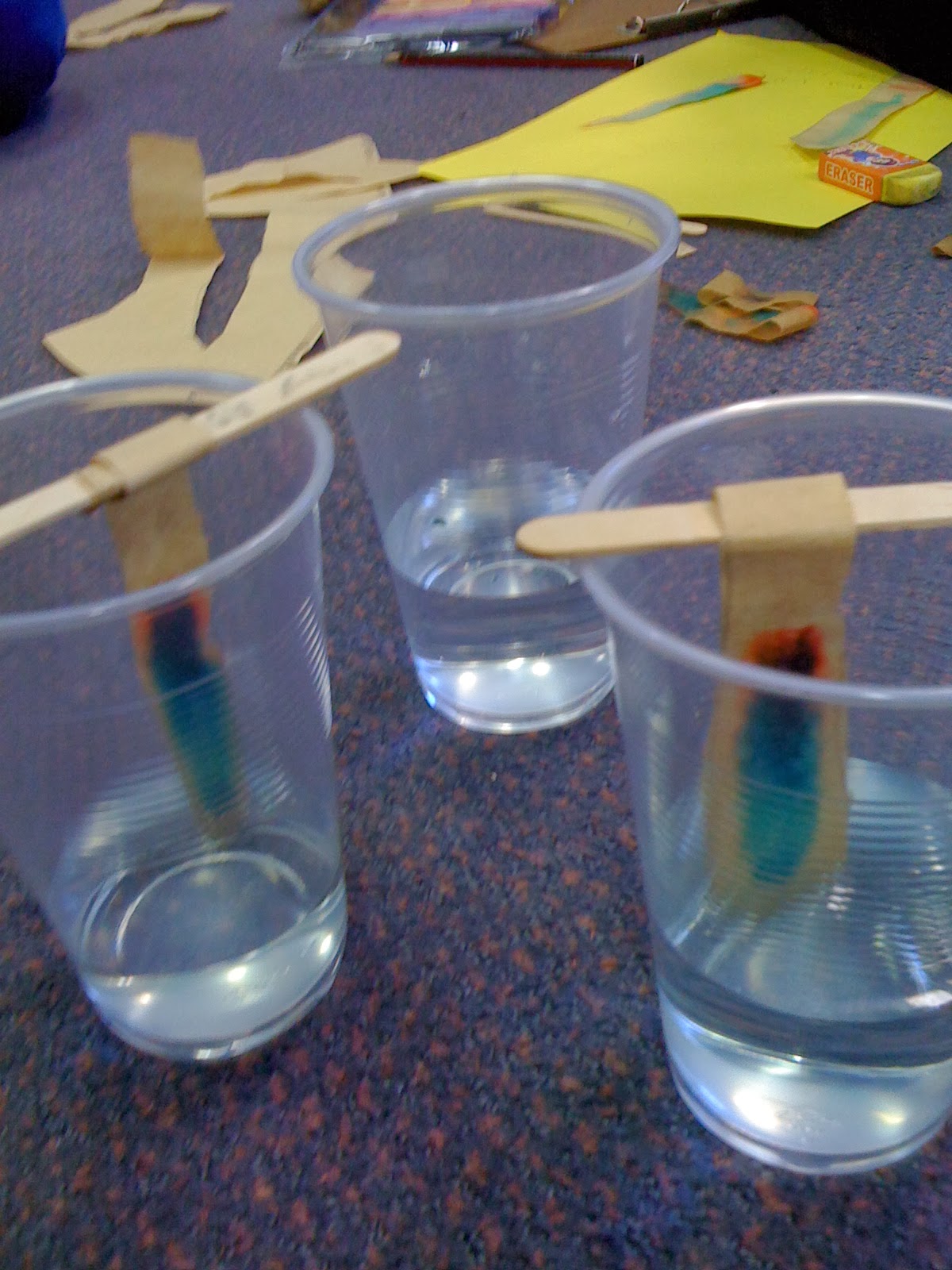 Creative Critters Forensic Science Chromatography