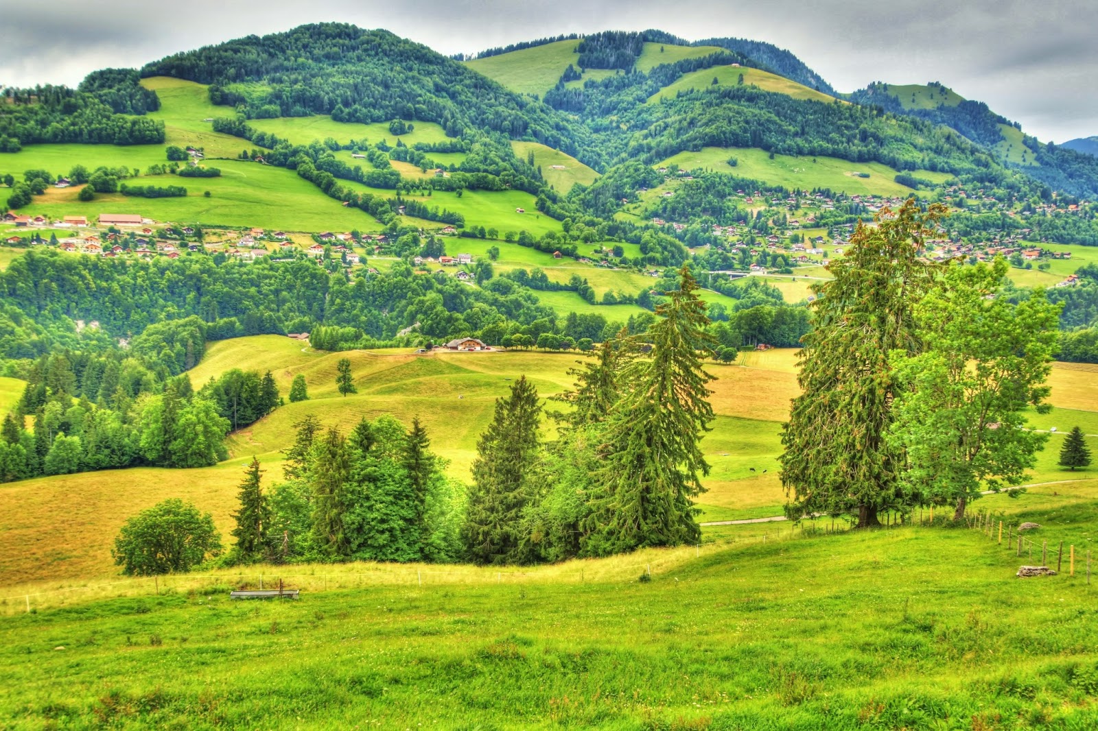 Banco de Imágenes Gratis 24 fotografías