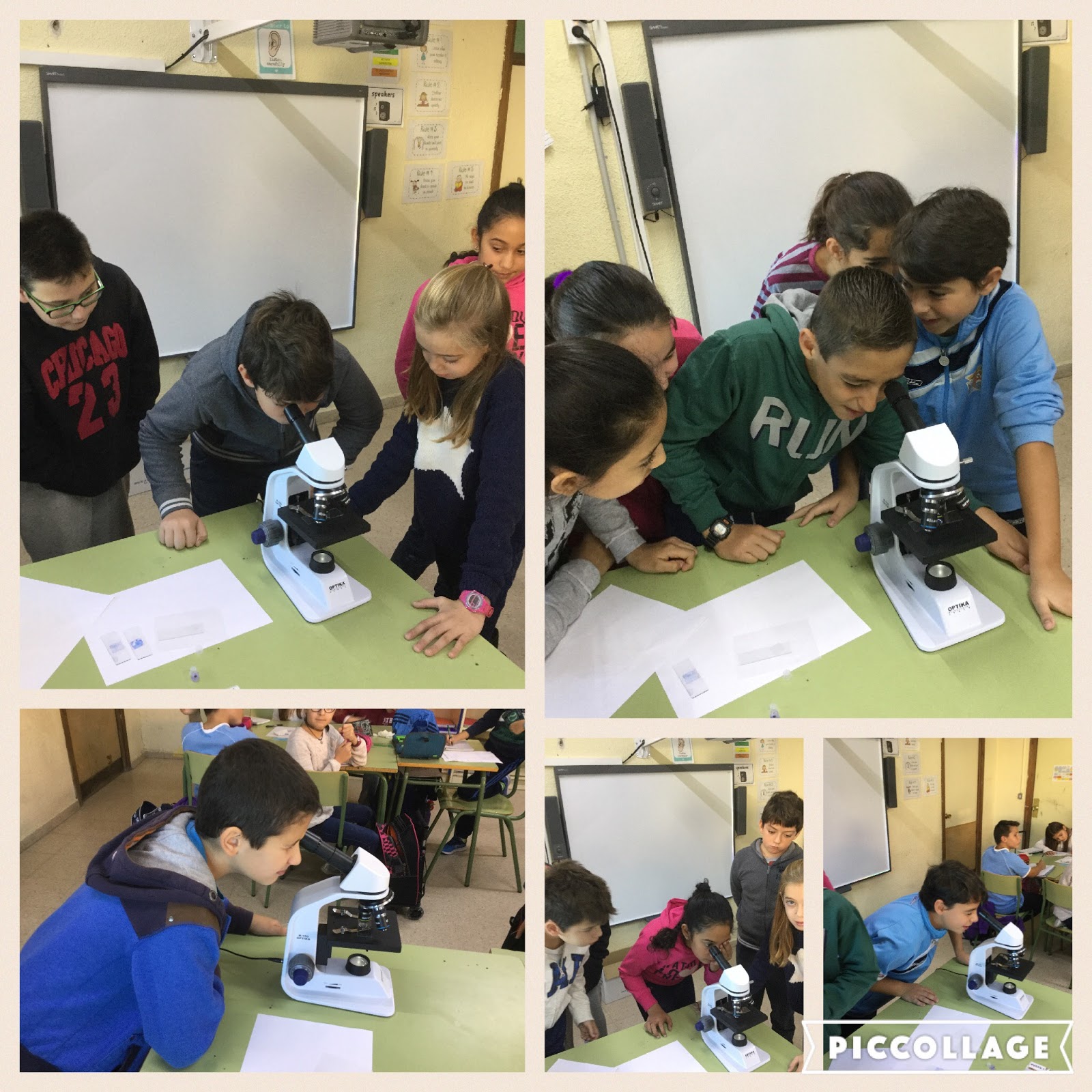 FSLOVENGLISH MICROSCOPES