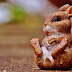 Marketing lessons from the Easter Bunny