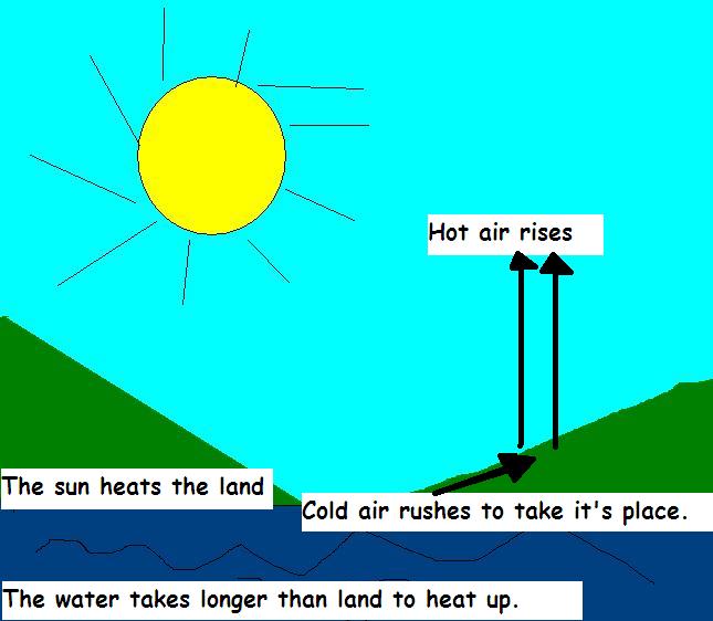 Mrs Allison's Class How is wind formed?