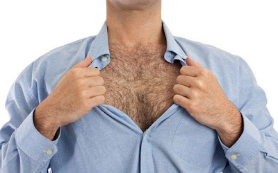 mans hairy chest