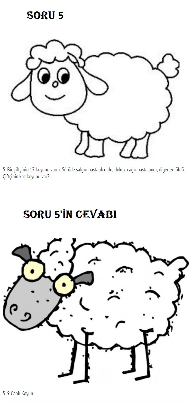 zeka-sorulari-soru-5 zeka-sorulari-soru-5