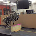 Робот-гепард се научи да прескача препятствия (видео)
