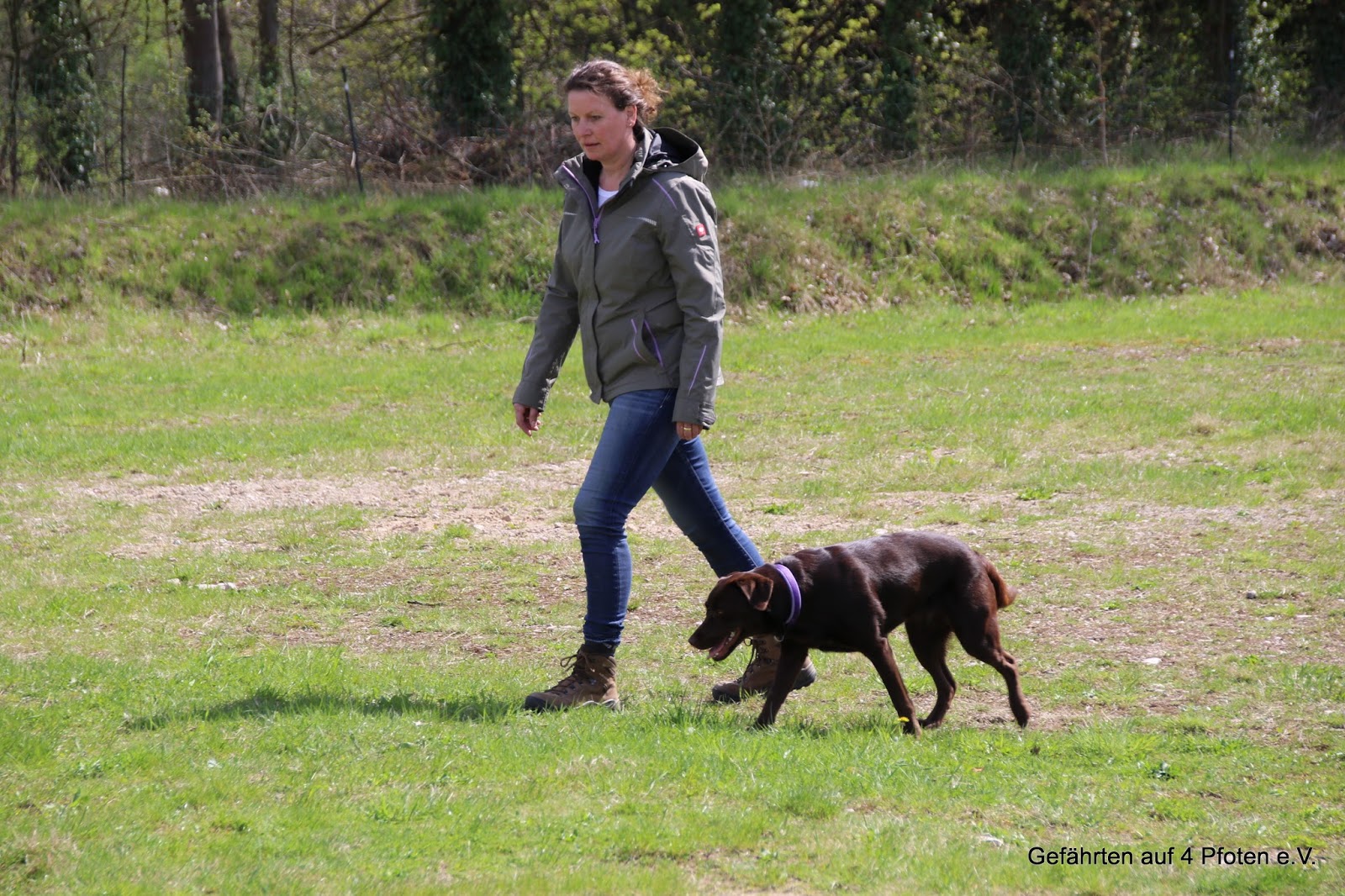 Seuten Schnuut Labradore BHP