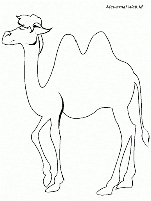 Mewarnai Gambar Hewan Unta Dunia Mewarnai