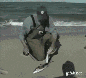 5566.gif