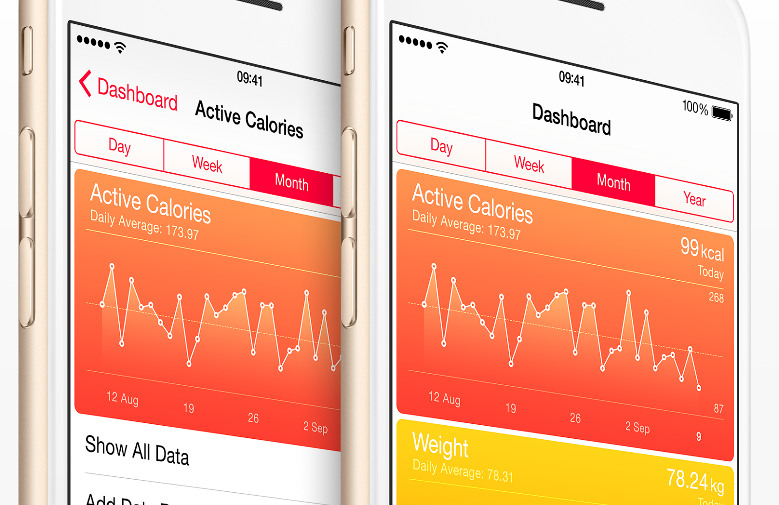 strava fitbit sync