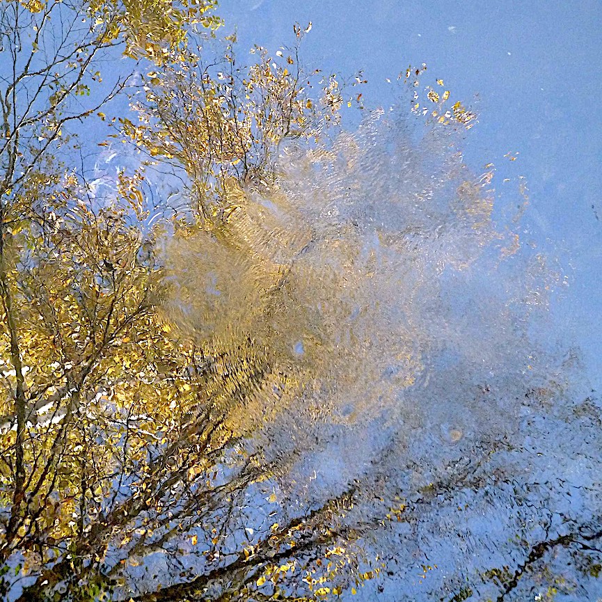 G Lagendyk a photograph of autumn leaves in a water reflection