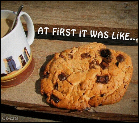 Art Cat GIF with caption - Cat stealing food. "Sorry but your cookie is MINE! MINE! MINE! Art Cat GIF with caption - Cat stealing food. "Sorry but your cookie is MINE! MINE! MINE!