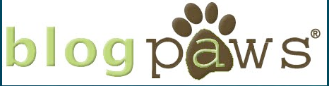 Thank you to the sponsor of the 2011 Anipal Academy Awards