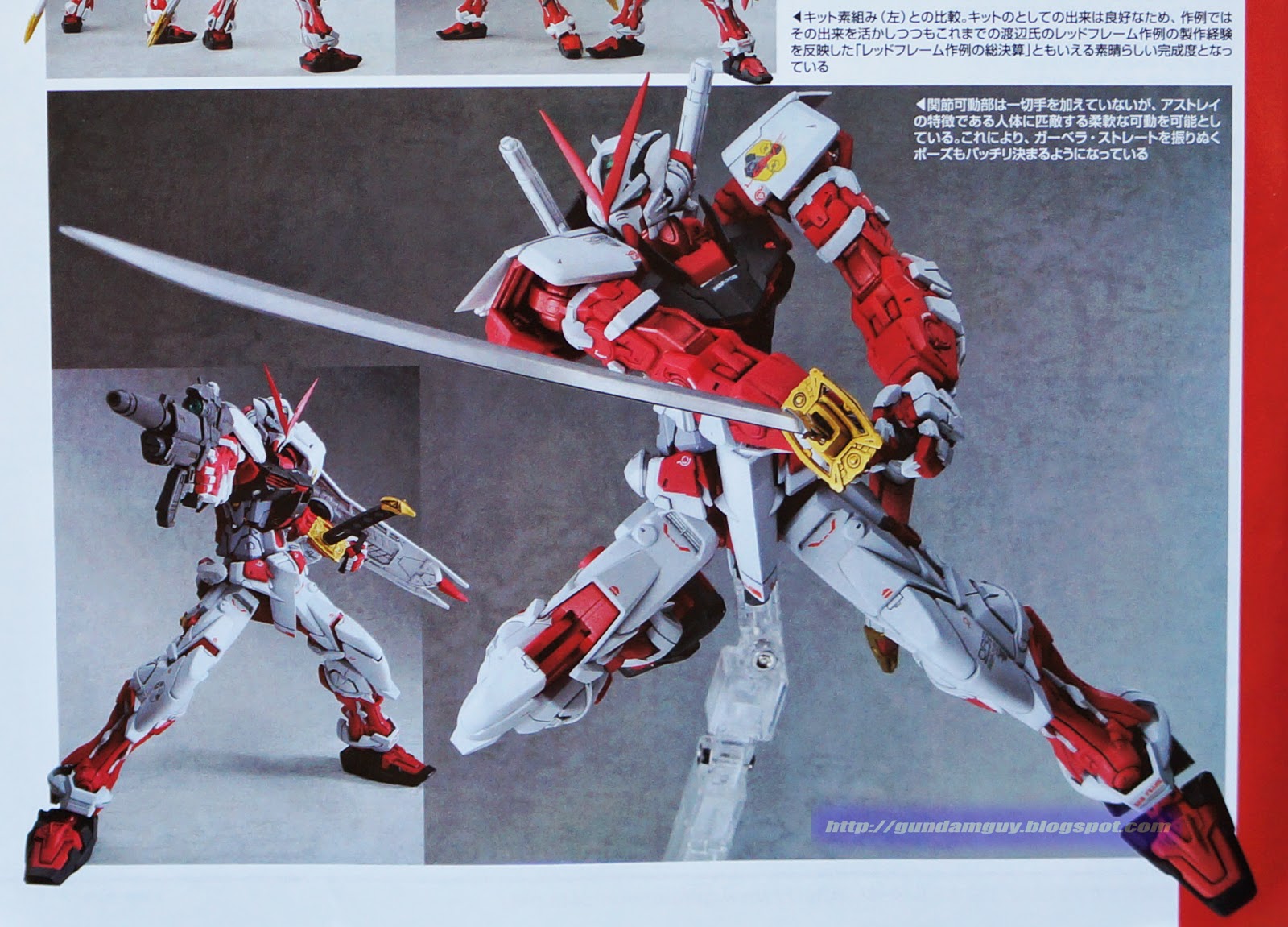 GUNDAM GUY: Mobile Suit Gundam SEED Destiny Astray R: MG 1/100 MBF-P02