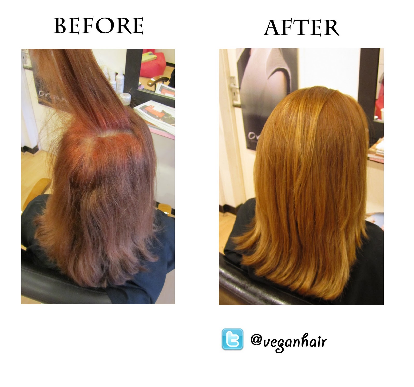 Hairdressing The Vegan Way Colour Change Correction