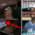 A Blue Jays Holiday Easter Egg: Fred McGriff's Baseball...