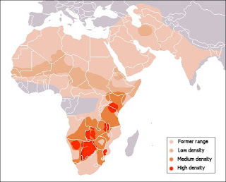 Subspecies of Cheetah % their range 