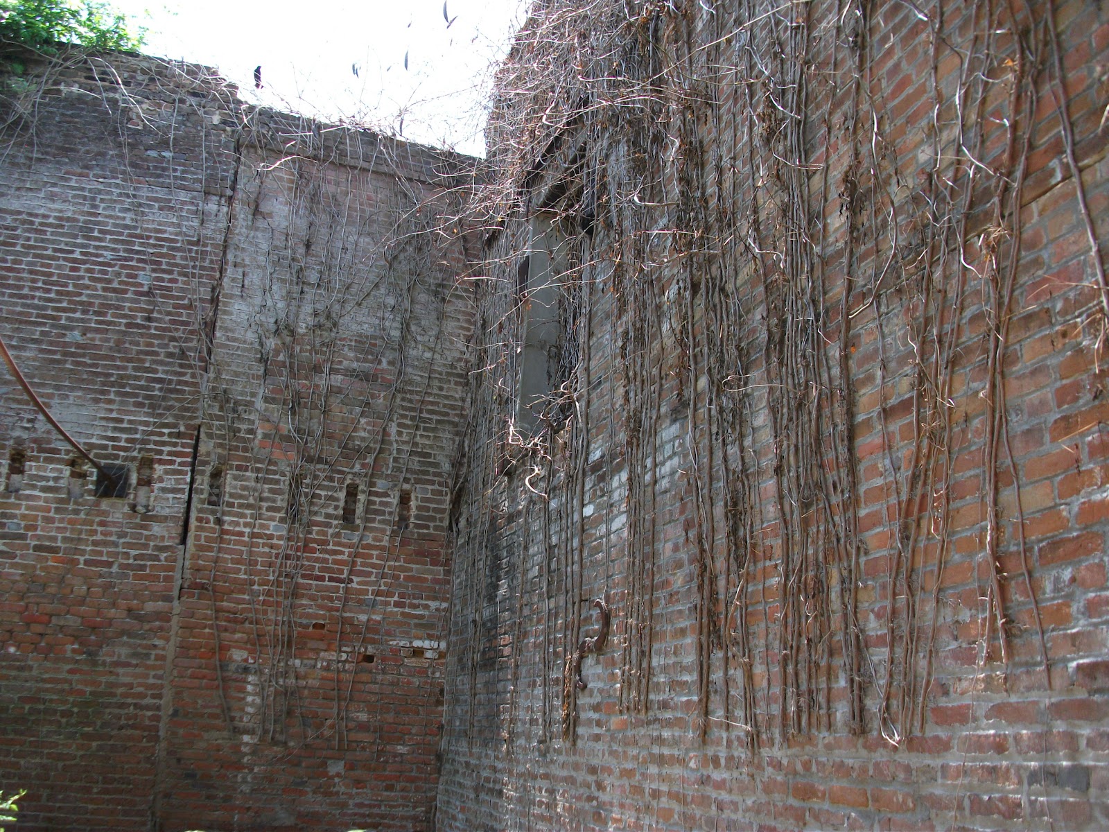 Ghostly Buildings of Wilmington Old Peanut Factory Downtown Wilmington NC