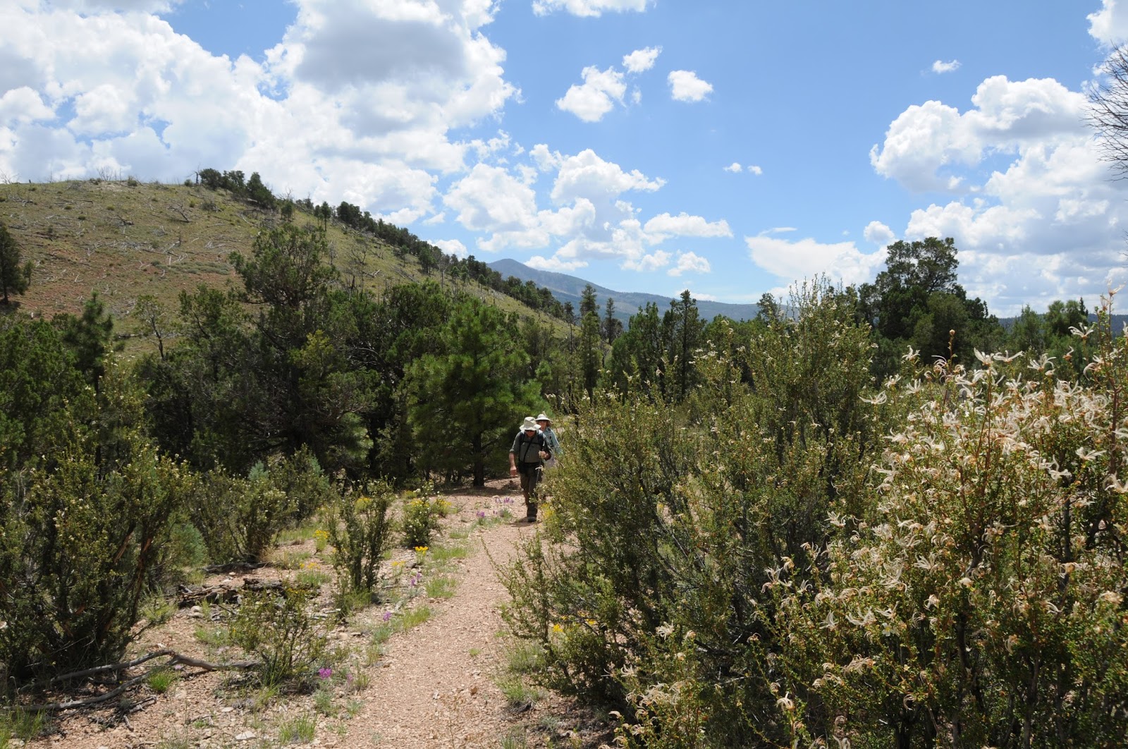 Arizona Hiking SLATE MOUNTAIN TRAIL 128