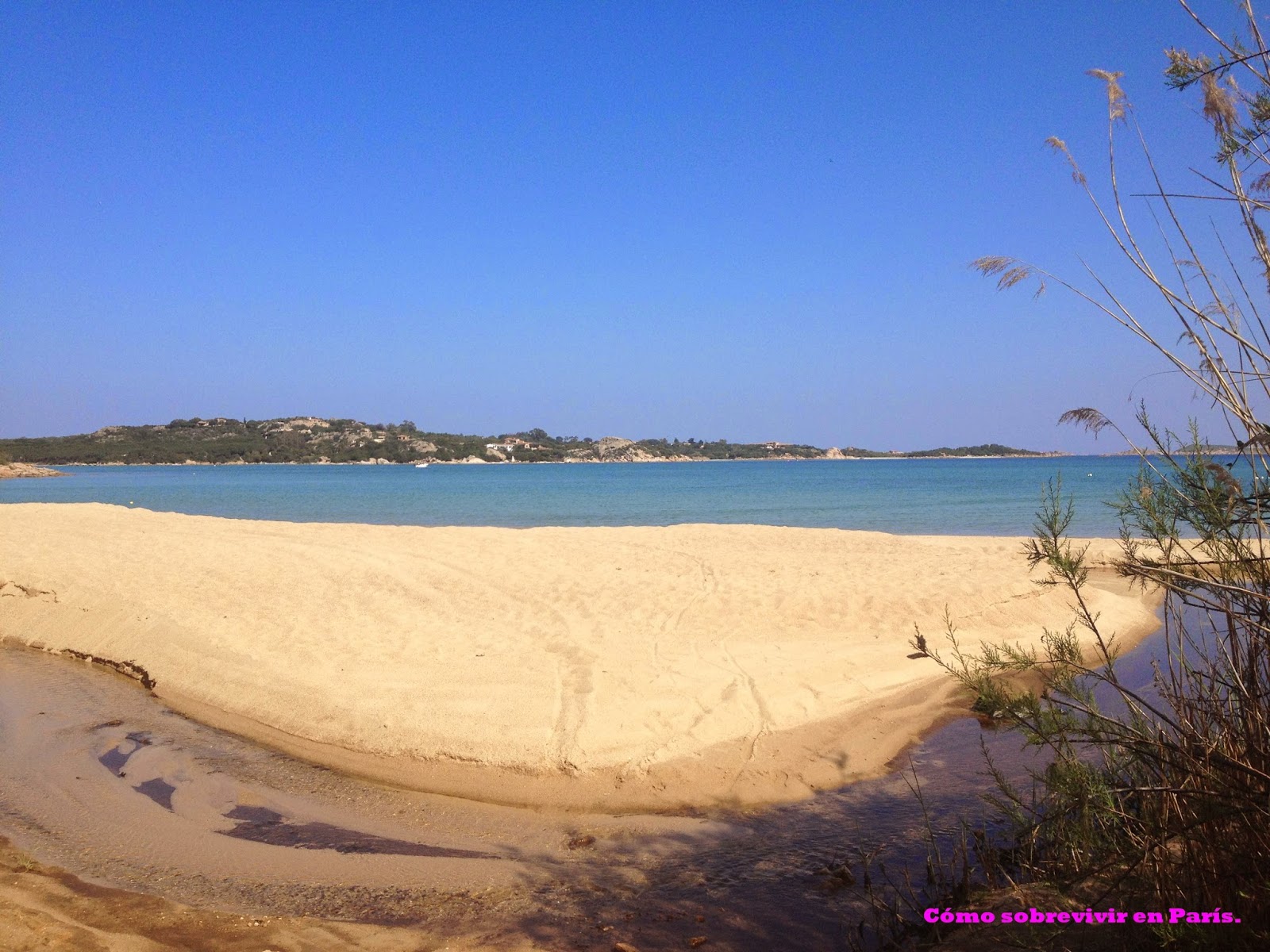 Cómo sobrevivir en París Playas de