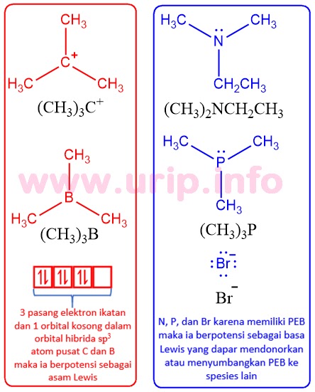 Peran Sentral Konsep Asam Basa Dalam Reaksi Kimia Organik Urip Dot Info
