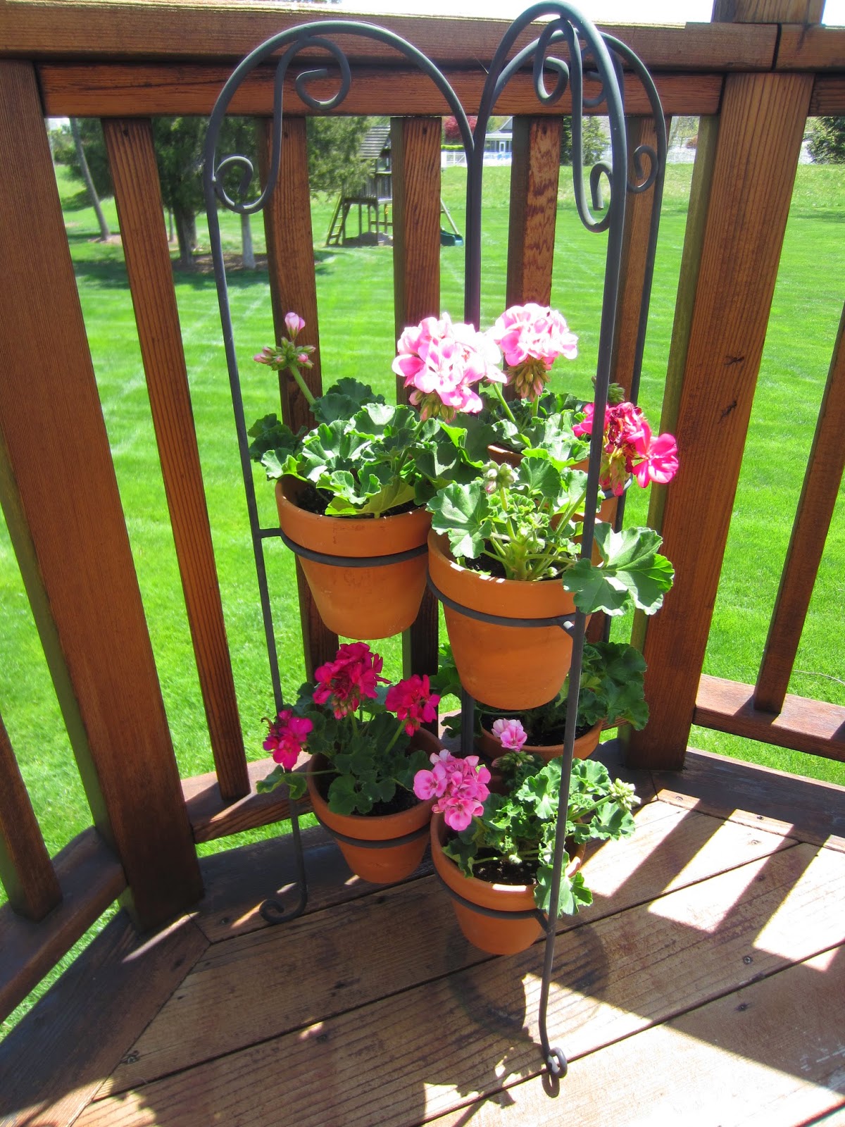 Flowers on the Deck Helpful Tips for Container Gardening Calypso in