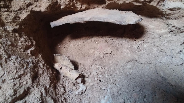 Archaeologists find 12th Dead Sea Scrolls Cave Archaeologists find 12th Dead Sea Scrolls Cave