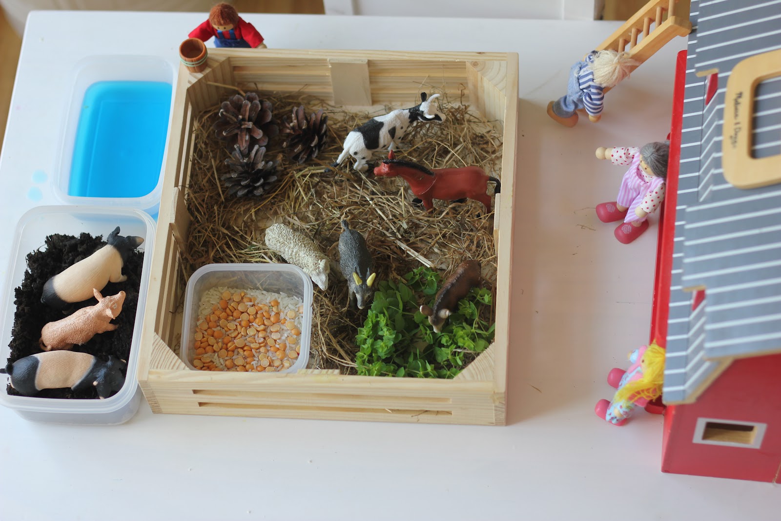 How to Set Up a Sensory Farm Yard Small World - My Bored Toddler