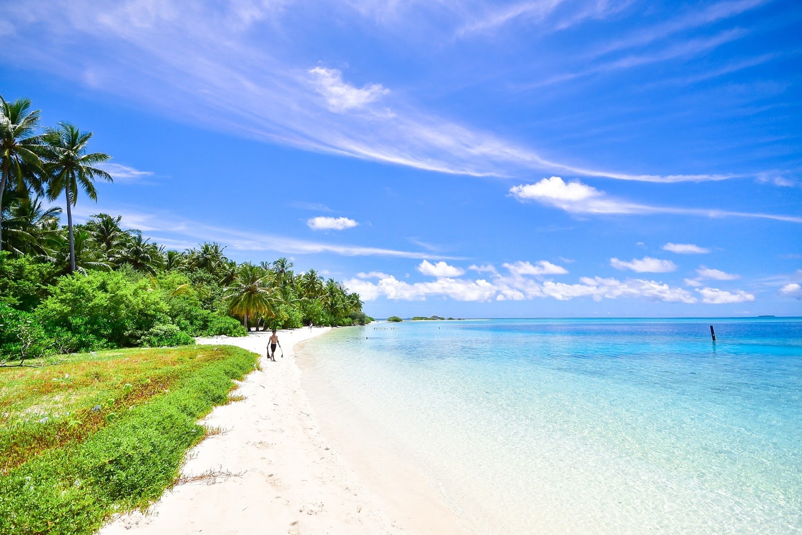 Gambar Pemandangan Pantai Indah Alami