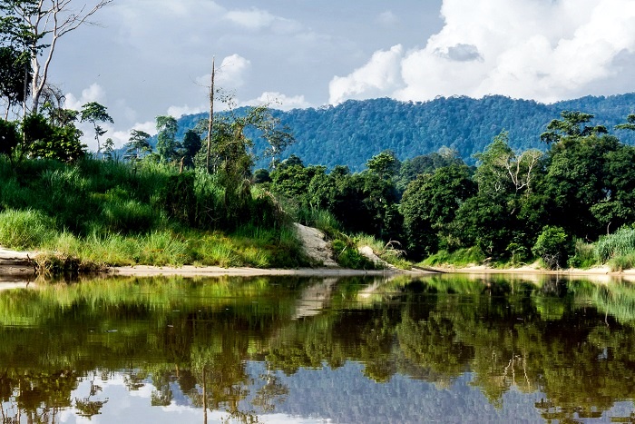 Taman Negara, Malaysia - The World's Oldest Tropical Rainforest
