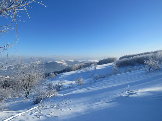 Na północnym wschodzie. Na północnym wschodzie.