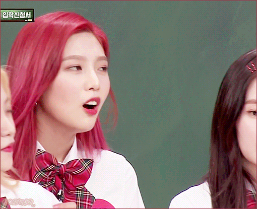 강아지 키우는거에 대한 조이의 마음가짐.jpgif | 인스티즈