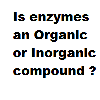 Is enzymes an Organic or Inorganic compound ? Is enzymes an Organic or Inorganic compound ?