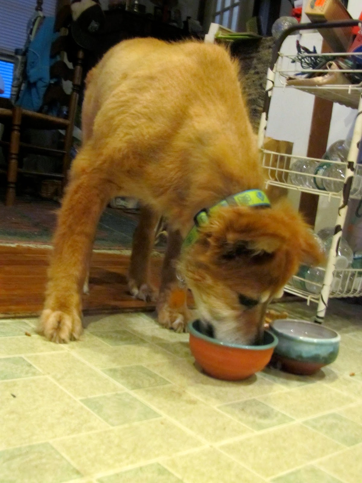 Tell Me a Story Zooma, Zooma, Zoom