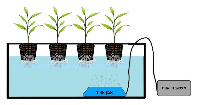DWC System DWC System