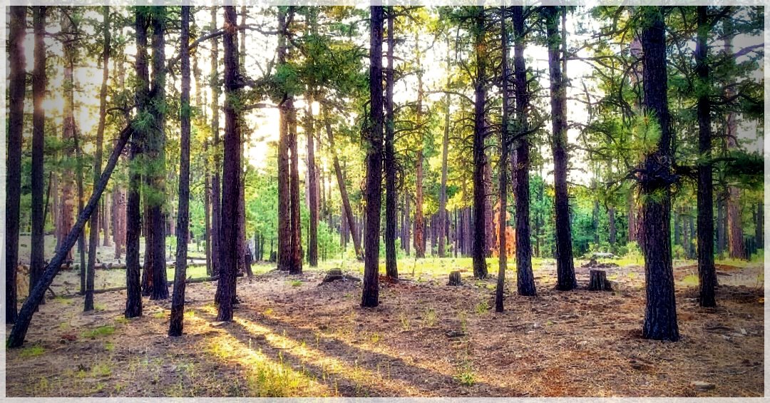HikingTrails-47581995994