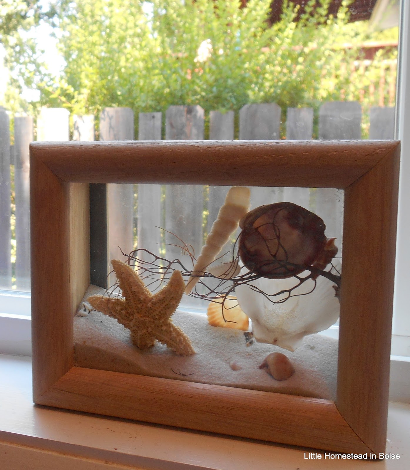 Little Homestead In Boise : DIY Cheap Wheelbarrow Rehab, Thrifting