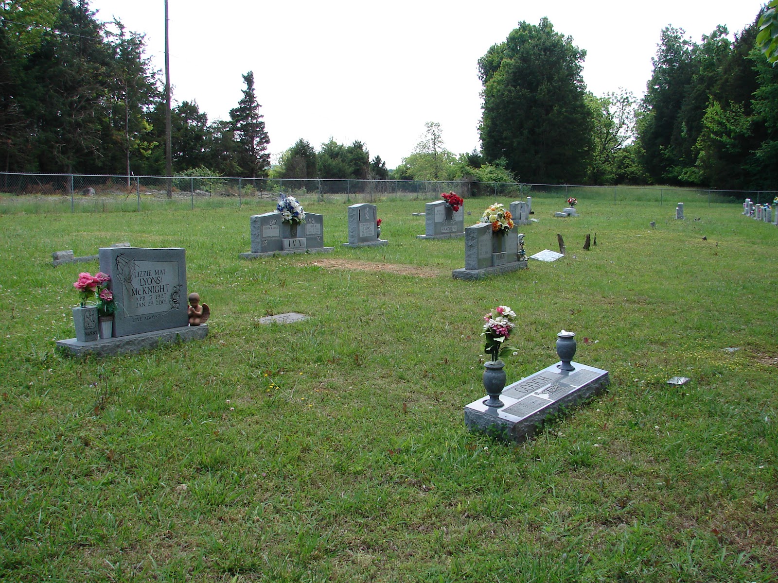 The Gaines Cemetery is one in which if I had not taken a look at the Rutherford GIS and Google Earth images of the area before going to look for it