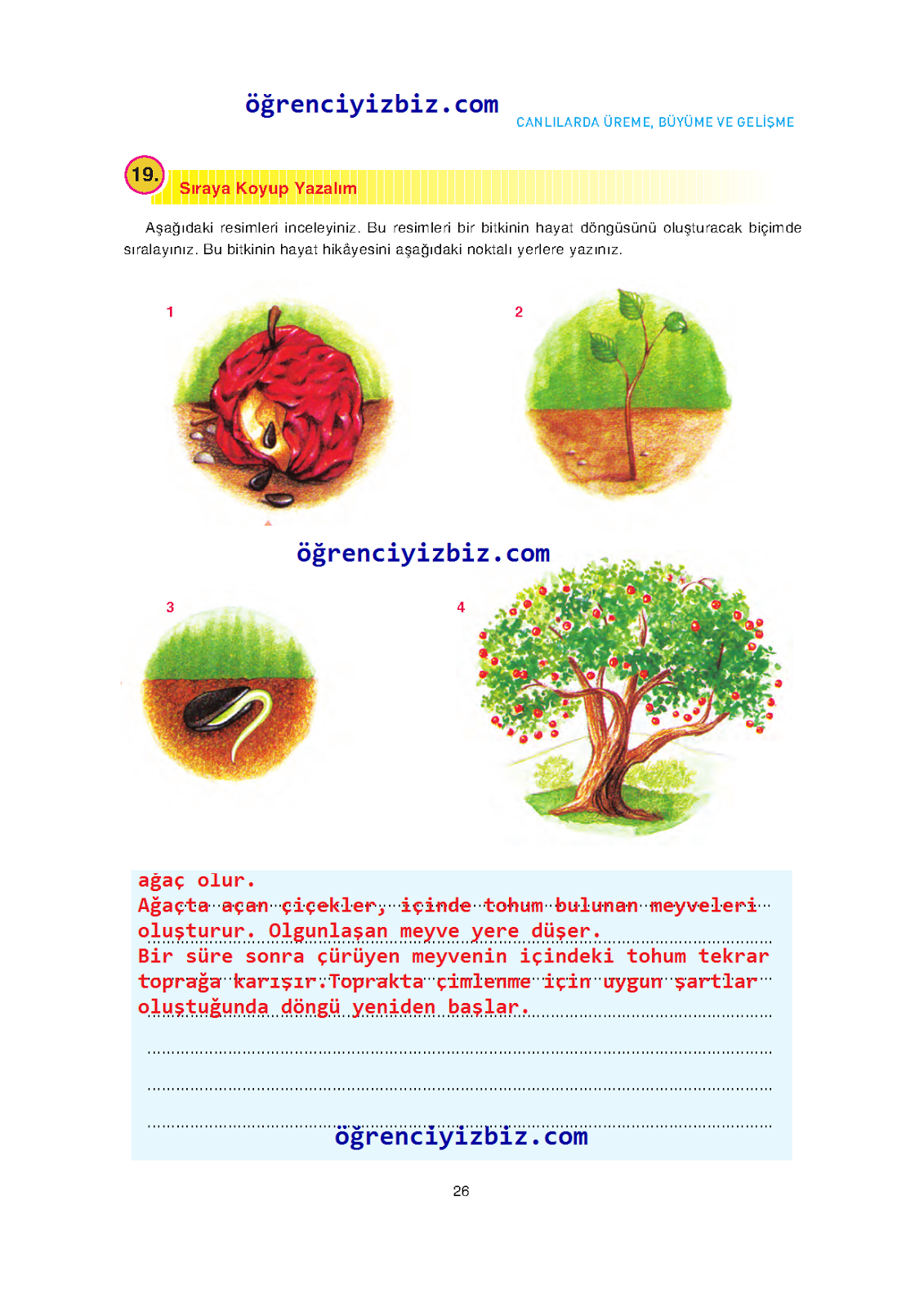 Lider ifade kitabı pdf indir