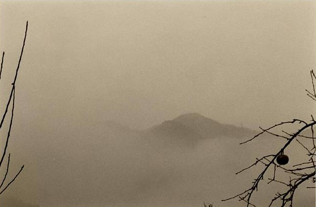 Masao Yamamoto
