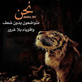 صور عن الضعف