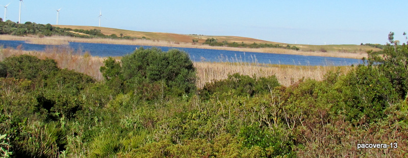 CH´USAY Complejo Endorreico de Puerto Real